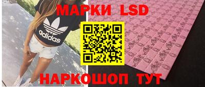 винт Тара