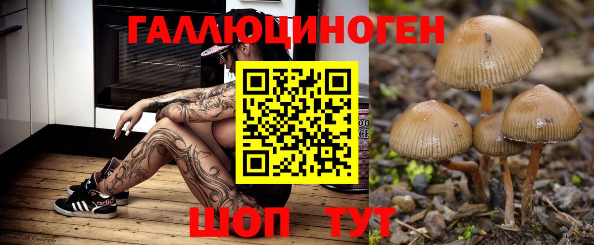Галлюциногенные грибы GOLDEN TEACHER Михайловск