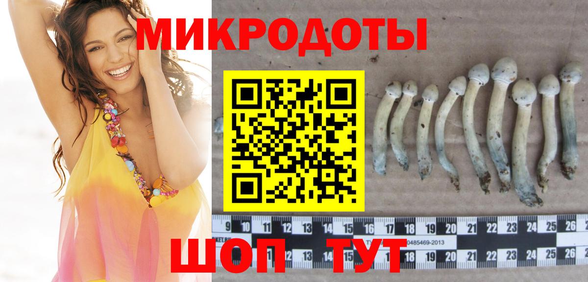 Псилоцибиновые грибы Psilocybine cubensis  Галлюциногенные грибы ЛСД  Вход с VPN  Михайловск 