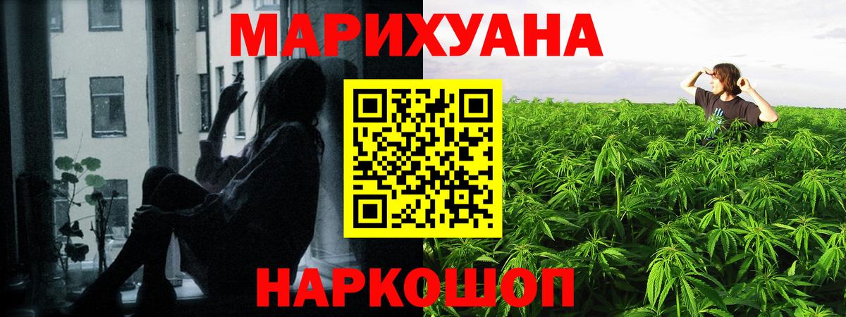 Конопля OG Kush Михайловск